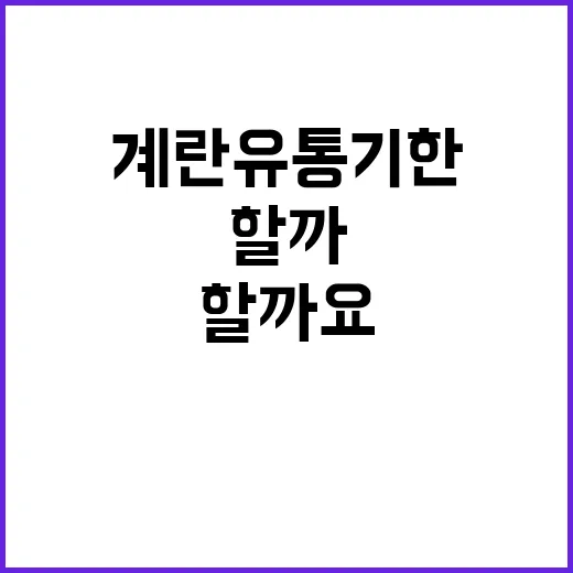 계란 유통기한, 어떻게 관리해야 할까요? - 요약