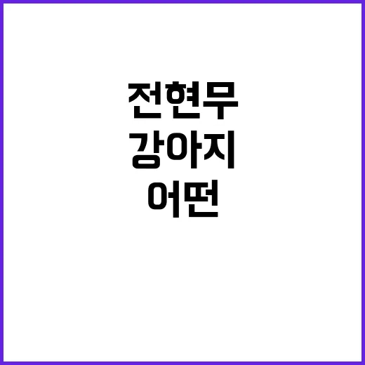 전현무의 강아지, 어떤 종이길래? - 요약