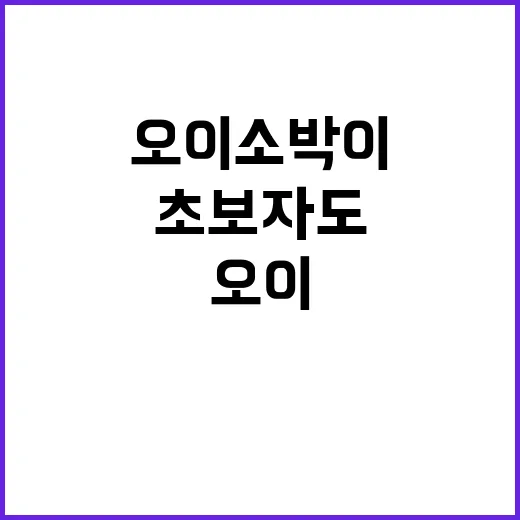 오이소박이 맛있게 만드는 방법, 초보자도 성공할 수 있어요! - 요약