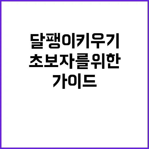 초보자를 위한 달팽이 키우기 가이드 - 요약
