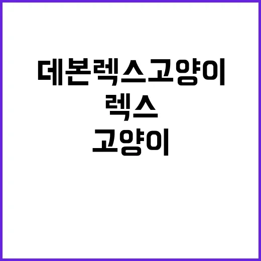 ㅇㅈㅁㅂㅅ를 효과적으로 활용하는 방법 - 요약