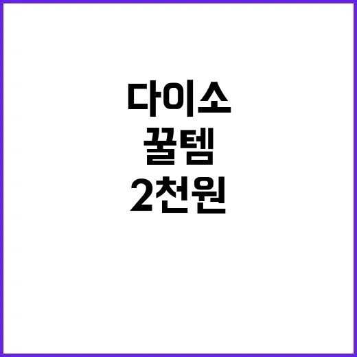 다이소에서 발견한 2천원 꿀템, 놓치지 마세요! - 요약