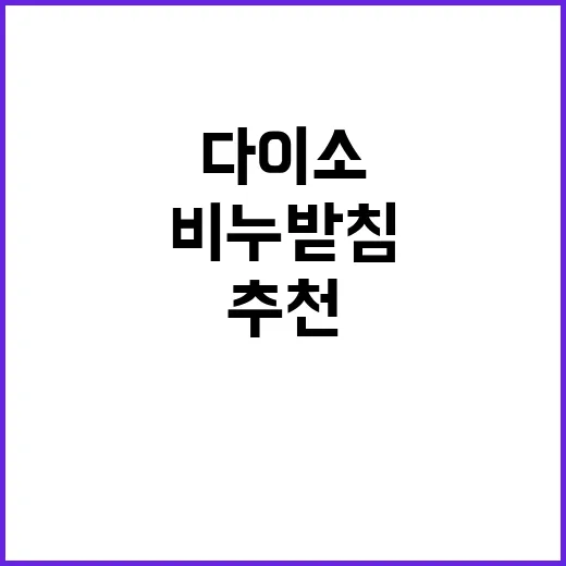 다이소에서 찾은 최고의 비누받침 3가지 추천 - 요약