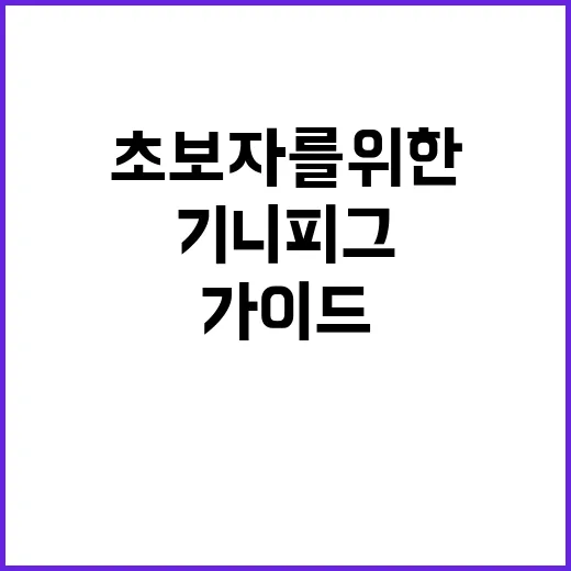 기니피그와 함께하는 행복한 생활: 초보자를 위한 가이드 - 요약