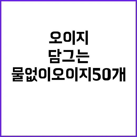 물 없이 오이지 50개 담그는 방법, 이렇게 쉽게! - 요약