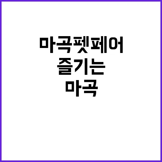 마곡 펫페어에서 강아지와 함께 즐기는 방법 - 요약