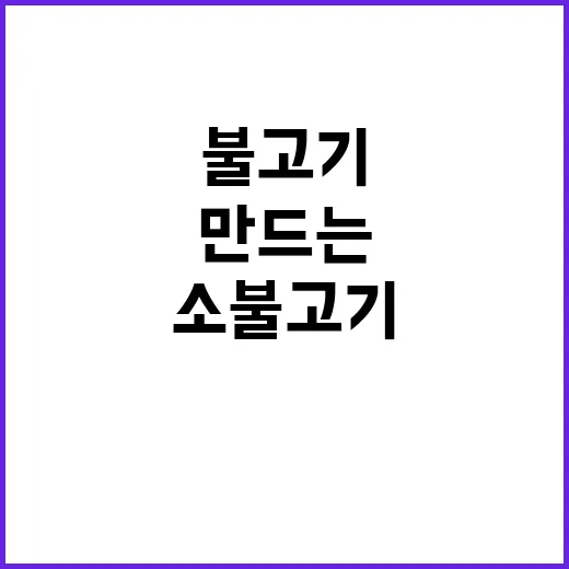 초보자도 쉽게 만드는 소불고기 레시피 - 요약