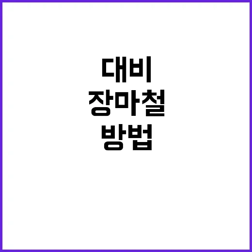 올해 장마철을 대비하는 똑똑한 방법 - 요약
