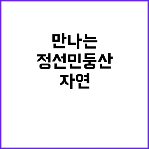 정선 민둥산: 숨겨진 보물 같은 자연을 만나는 방법 - 요약