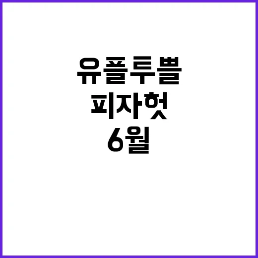 유플투쁠 회원이라면 놓치지 말아야 할 6월 피자헛 혜택! - 요약