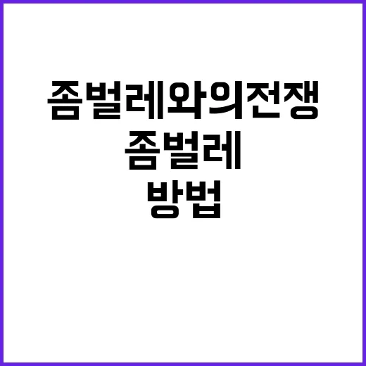 좀벌레와의 전쟁에서 승리하는 방법 - 요약
