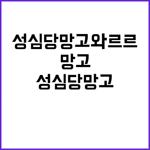 성심당 망고와르르: 달콤한 유혹을 경험하는 방법 - 요약