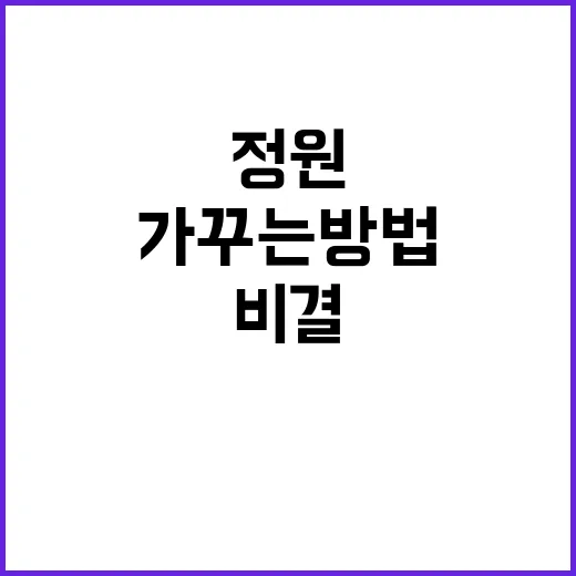 능소화 가꾸는 방법: 정원에서 화사하게 피우는 비결 - 요약