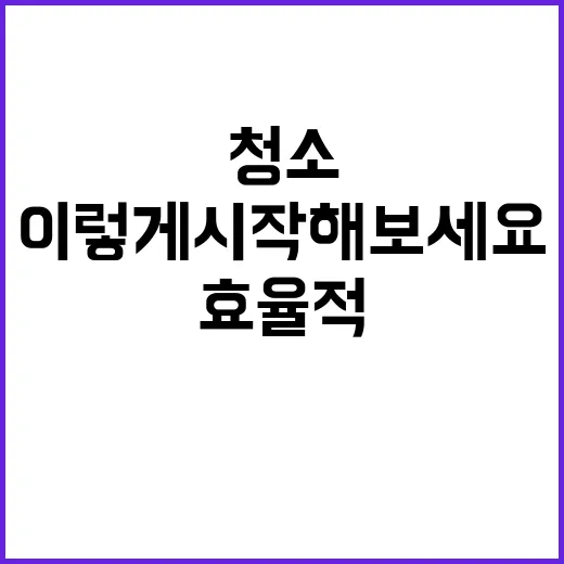 효율적으로 청소하는 방법, 이렇게 시작해보세요! - 요약