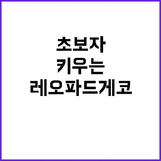 초보자를 위한 레오파드게코 키우는 방법 - 요약