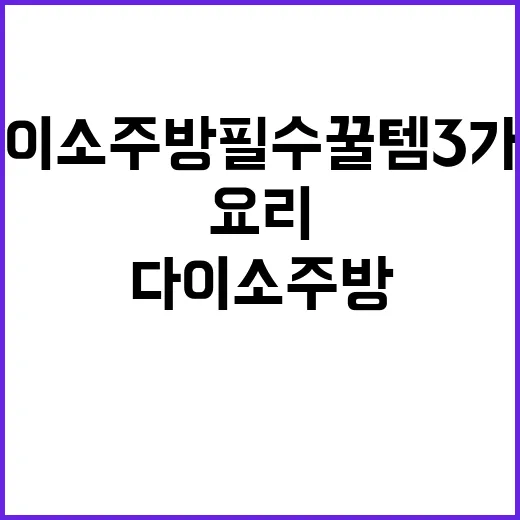 다이소 주방 필수 꿀템 3가지로 요리 즐기기 - 요약