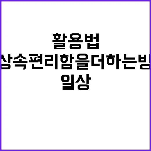 데볼렉스 활용법: 일상 속 편리함을 더하는 방법 - 요약