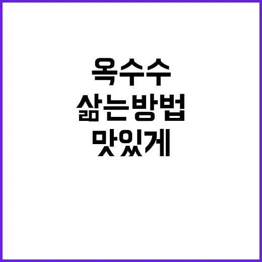 초보자를 위한 옥수수 맛있게 삶는 방법, 이렇게 해보세요! - 요약