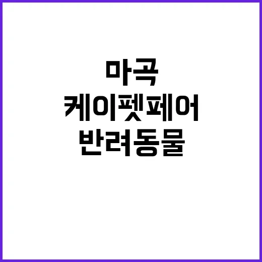 케이펫페어 마곡: 반려동물과 함께하는 즐거운 하루 보내는 방법 - 요약