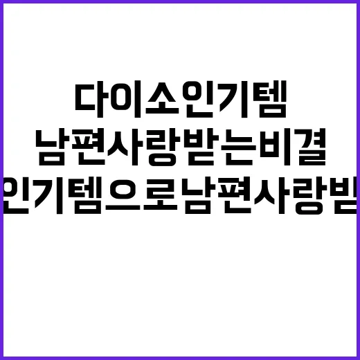 다이소 인기템으로 남편 사랑받는 비결 - 요약