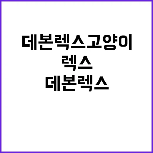 데본렉스 고양이를 키우는 방법: 사랑스러운 털뭉치와의 생활 - 요약