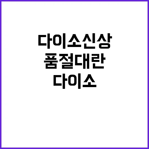다이소 신상, 품절 대란 피하는 방법 - 요약