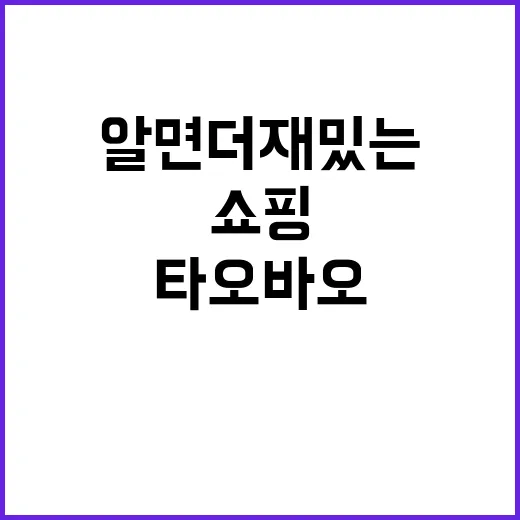 타오바오 슬랭 마스터하기: 알면 더 재밌는 쇼핑 경험 - 요약
