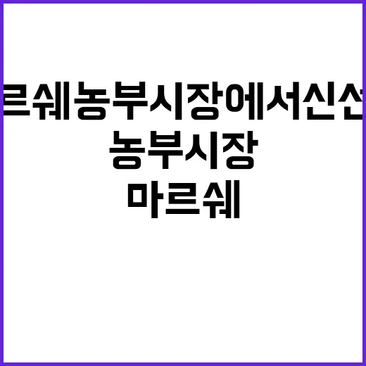 마르쉐 농부시장에서 신선한 농산물 고르는 방법 - 요약
