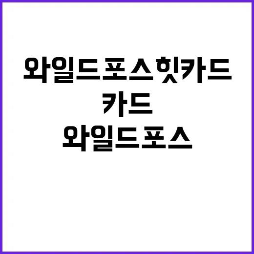 와일드포스 힛카드 활용법, 이렇게 시작해보세요 - 요약