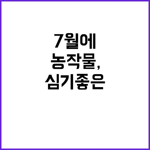 7월에 심기 좋은 농작물, 무엇을 선택할까? - 요약