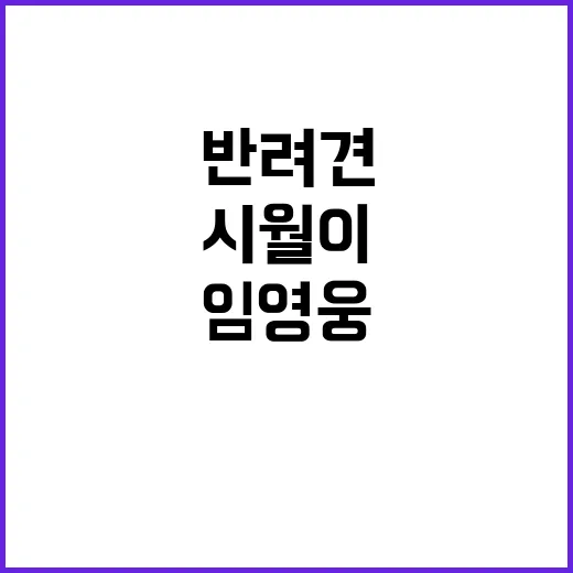 임영웅 강아지 시월이처럼 반려견 일상 챙기는 방법 - 요약