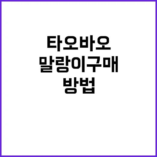 타오바오에서 말랑이 구매하는 방법: 알뜰하게 쇼핑하기 - 요약