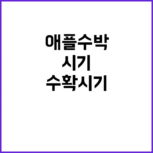 애플수박 수확시기, 이렇게 알아보세요! - 요약