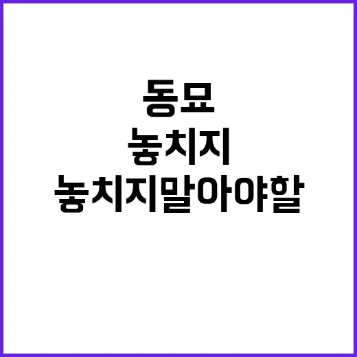 동묘 빵파레에서 놓치지 말아야 할 것들 - 요약