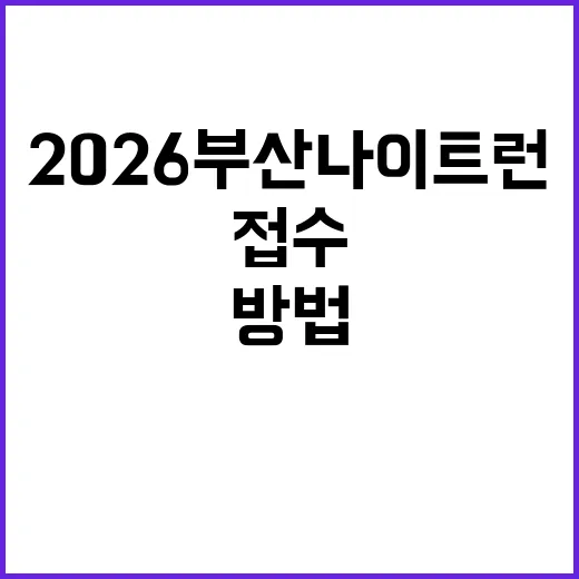 2026 부산 나이트런 준비하는 방법, 접수 전 체크할 것들 - 요약