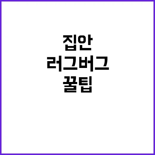 러그버그를 활용한 집안 꾸미기 꿀팁 - 요약