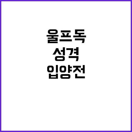 울프독 키우려면 이렇게 준비하세요: 성격, 비용, 입양 전 체크법 - 요약