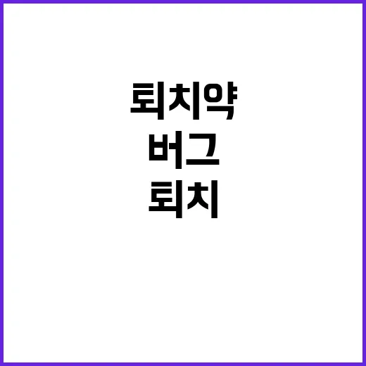 효과적인 러그버그 퇴치약 사용법, 이렇게 해보세요! - 요약
