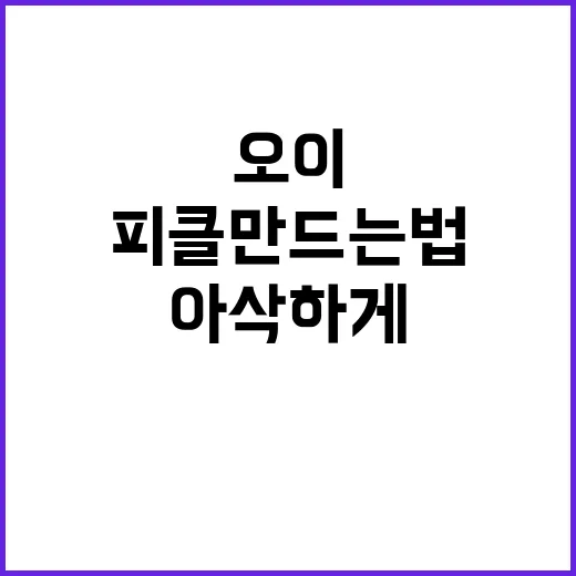 오이피클만드는법 초보자도 아삭하게 성공하는 방법 - 요약