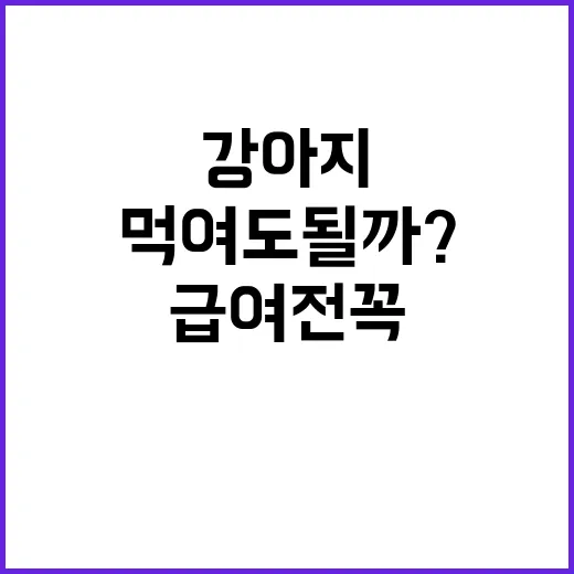 강아지 자두 먹여도 될까? 급여 전 꼭 확인하는 방법 - 요약