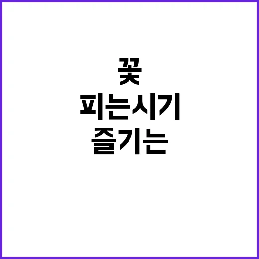 자귀나무 꽃 예쁘게 즐기는 방법, 피는 시기부터 관리 팁까지 - 요약