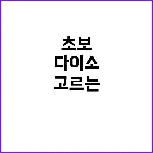 다이소 야구 굿즈 3종세트 고르는 방법, 초보 응원러라면 이렇게 챙기면 편해요 - 요약