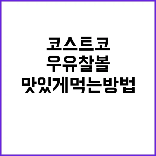 코스트코 우유찰볼 맛있게 먹는 방법, 처음 사기 전에 알면 좋은 것들 - 요약