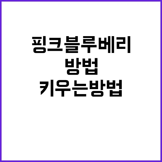핑크블루베리 키우는 방법, 초보자가 먼저 챙길 것들 - 요약