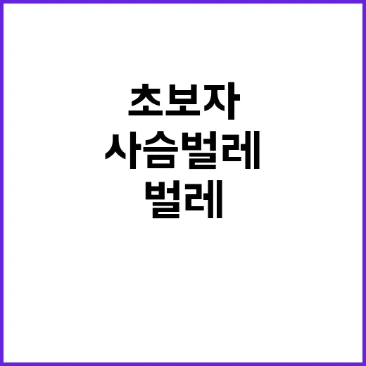 초보자를 위한 사슴벌레 키우는 방법, 집에서 오래 건강하게 돌보려면 이렇게 - 요약