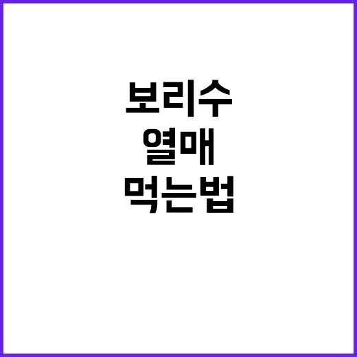 초보자를 위한 보리수 키우는 방법과 열매 맛있게 먹는 법 - 요약