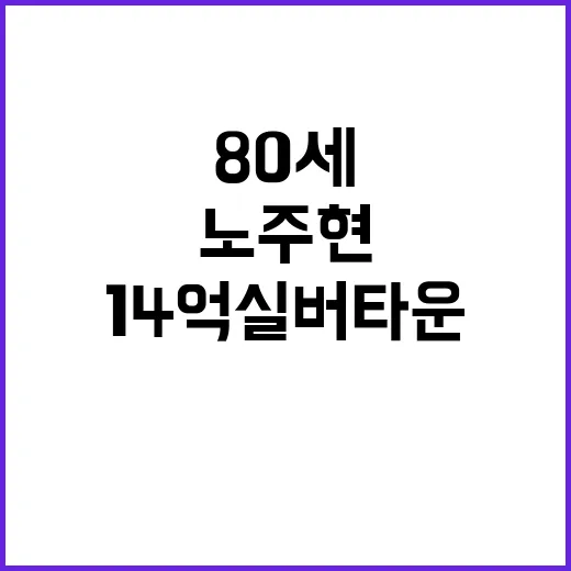 노주현 80세·14억 실버타운이 화제일 때 내게 맞는 실버타운 고르는 방법 - 요약
