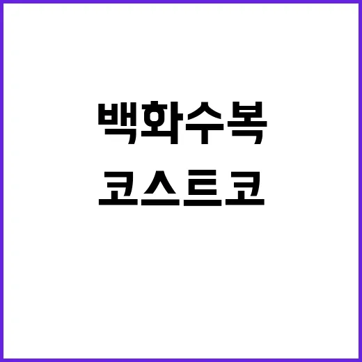 코스트코 백화수복 사려면 이렇게 고르면 편합니다 - 요약