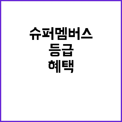 슈퍼멤버스 등급 제대로 확인하고 혜택 놓치지 않는 방법 - 요약