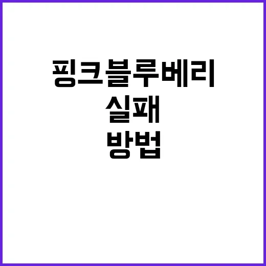 핑크 블루베리 키우는 방법, 초보자가 실패 줄이려면 이렇게 - 요약